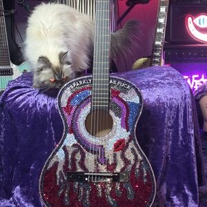 Acoustic Guitar Covered in Austrian Crystals